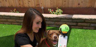 Faça selfie do seu cachorro olhando para a lente acessório-pooch-selfie