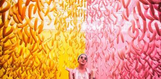 Conheça o Museu do Sorvete e a Fábrica de Cores para Selfies no Instagram