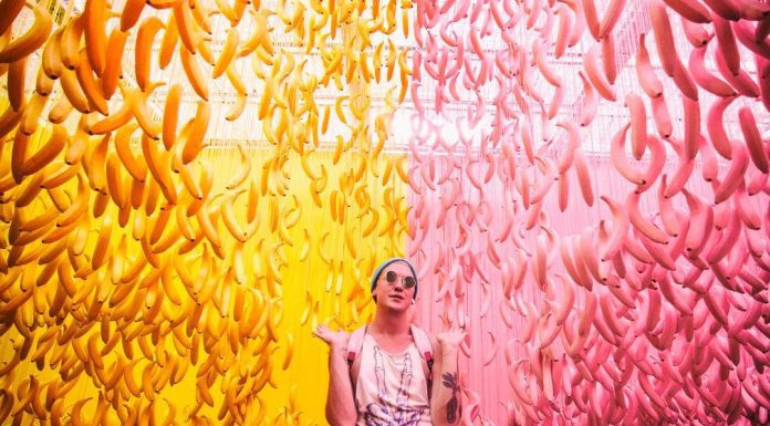 Conheça o Museu do Sorvete e a Fábrica de Cores para Selfies no Instagram
