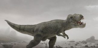 Cientistas podem criar dinossauros a partir do sangue coletado de um inseto