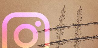 Instagram permite que você siga hashtags como se fosse um amigo