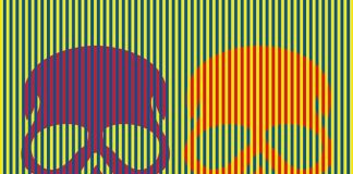 Esses crânios parecem roxos e alaranjados mas ambos são de uma única cor