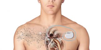 Cientistas desenham uma “Internet” que vive dentro do seu corpo