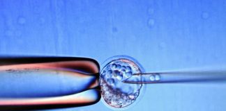 Japonesa é a primeira a receber tratamento de células tronco para a córnea