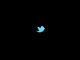 Twitter tem primeira receita trimestral acima de US$1 bi