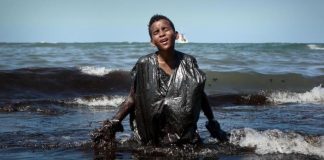 Custo com limpeza de praias não tem impacto relevante para Petrobrás, diz diretor