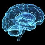 cerebro
