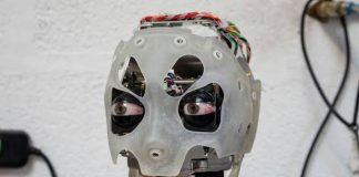 Como a geração Z pode competir com os robôs? Concentrando-se no lado humano