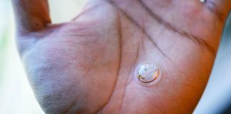 Nova lente de contato traz tela, câmera e sensores para o olho humano