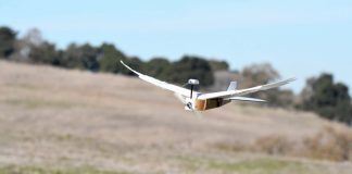 Cientistas construíram um robô que voa com 40 penas de pombo