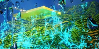 Este dispositivo alimentado por bactérias poderia manter seu telefone carregado para sempre