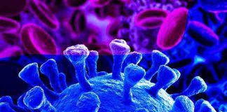 11 estratégias que as empresas podem implementar agora para salvá-las do coronavírus (COVID-19)