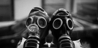 Fungos de Chernobyl podem proteger astronautas da radiação no espaço