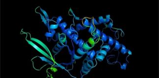 Como um dos grandes mistérios da biologia foi solucionado com inteligência artificial