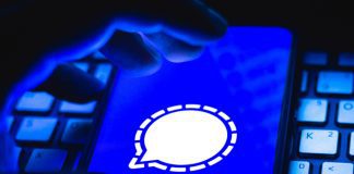 Em alta, Signal adota vários recursos do WhatsApp