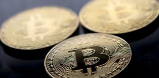 A recuperação do bitcoin de Musk agrada alguns investidores da Tesla