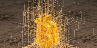 Empresa lança vídeo educativo sobre bitcoin com narração de Cid Moreira