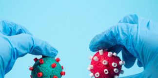 Tecnologia desenvolvida no HUB permite identificar variante presente em amostra do coronavírus