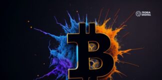 Bitcoin ultrapassa os US$ 30mil e memecoins Voltam a Subir