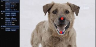 Draggan: Uma Nova IA que Edita Suas Fotos