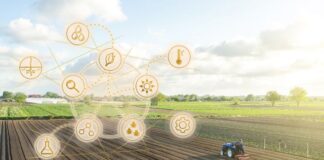 Brasilienses desenvolvem tecnologia forense com prata sintetizada de plantas