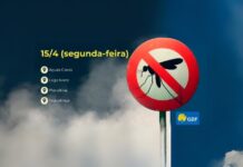 Agência Brasília divulga na internet a rota do fumacê contra a dengue