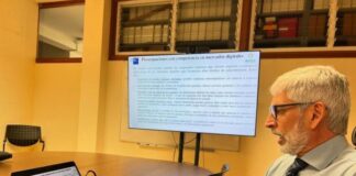 Como o Brasil pode regular as Big Techs?