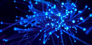 Inclusão digital cresce, mas 22 milhões seguem sem acesso à internet