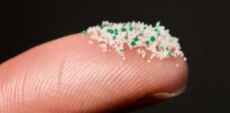 Ferramenta inovadora permite análise de microplásticos na água