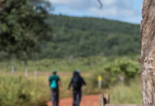 DF terá portal oficial com informações completas sobre trilhas ecológicas