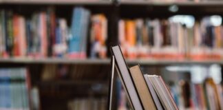 Bibliotecas do DF oferecem leitura e acolhimento em tempos digitais