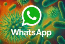 Ciberataque no WhatsApp: vírus SORVEPOTEL se propaga e bloqueia contas