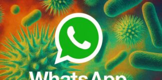 Ciberataque no WhatsApp: vírus SORVEPOTEL se propaga e bloqueia contas