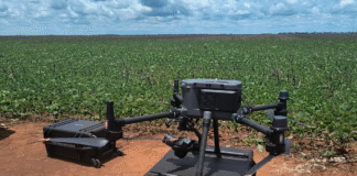 Plataforma desenvolvida com apoio da FAPDF utiliza inteligência artificial e drones no combate a espécies invasoras do Cerrado