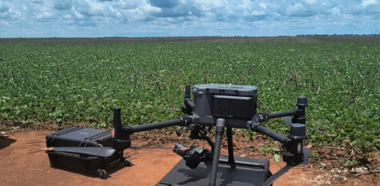 Plataforma desenvolvida com apoio da FAPDF utiliza inteligência artificial e drones no combate a espécies invasoras do Cerrado
