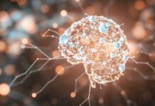 Projeto apoiado pela FAPDF investiga desafios e limites para uso responsável da inteligência artificial no Brasil