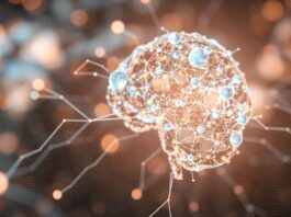 Projeto apoiado pela FAPDF investiga desafios e limites para uso responsável da inteligência artificial no Brasil