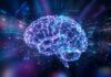 Anthropic alerta investidores para riscos catastróficos da Inteligência Artificial Anthropic alerta investidores para riscos catastróficos da Inteligência Artificial