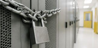 Relatório Revela Ligação da IA a 84% dos Ataques de Ransomware Relatório Revela Ligação da IA a 84% dos Ataques de Ransomware